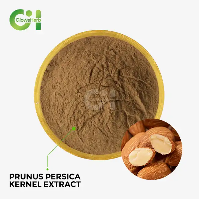 Prunus persica kernel extract